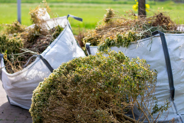 Best Furniture Removal Near Me  in Fraser, MI